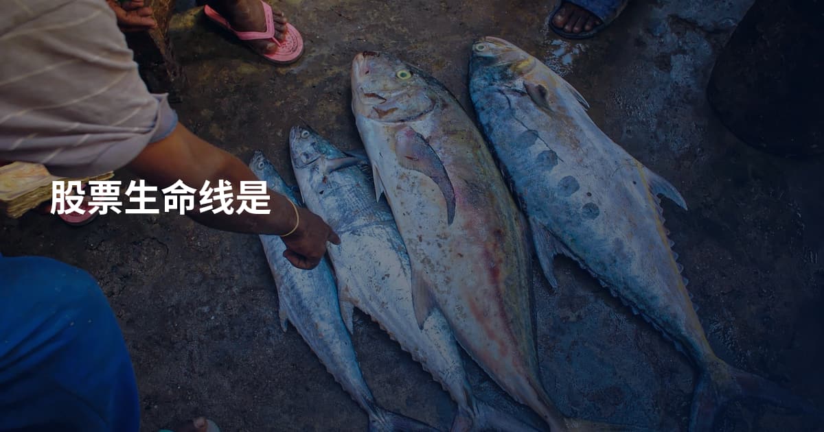 股票生命线是