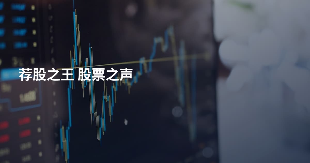 荐股之王 股票之声