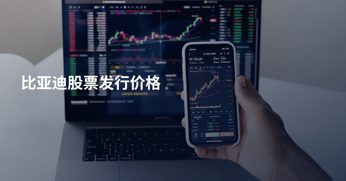 比亚迪股票发行价格