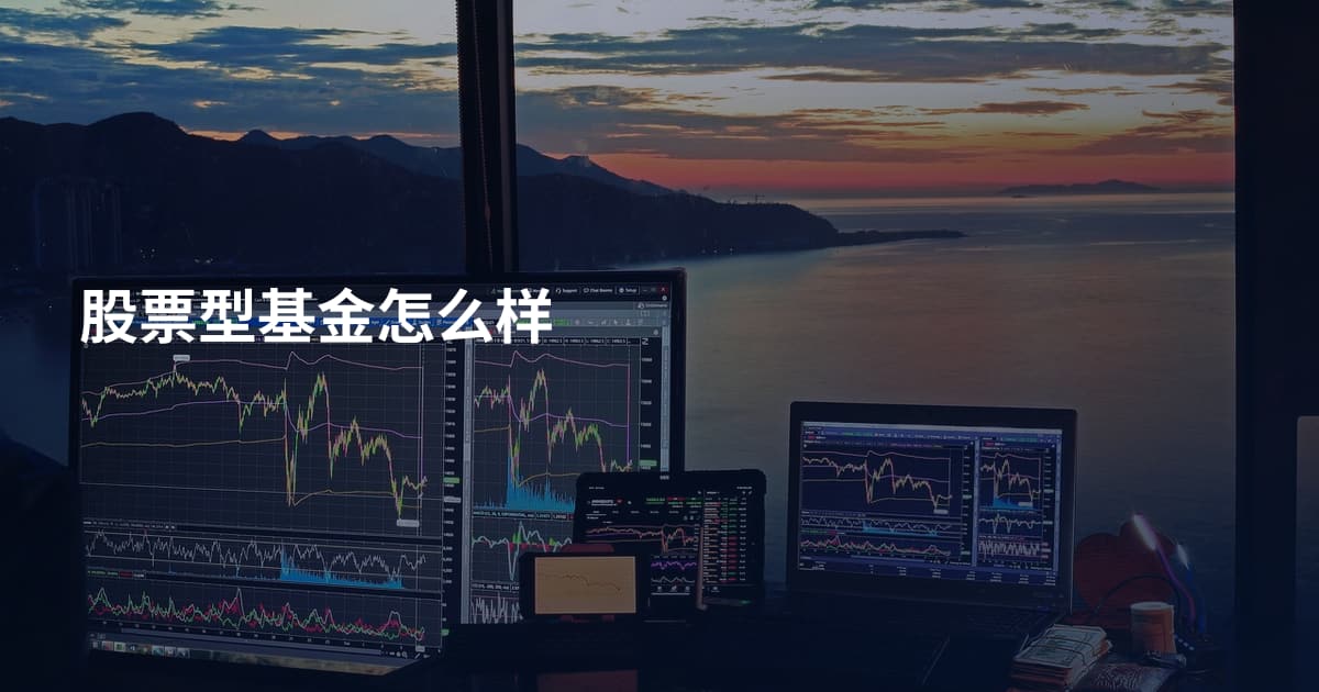 股票型基金怎么样