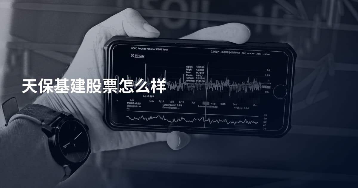 天保基建股票怎么样
