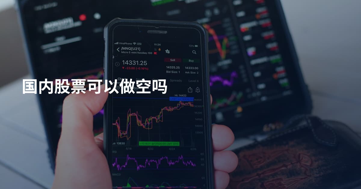 国内股票可以做空吗