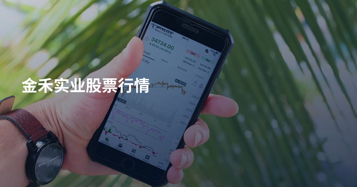 金禾实业股票行情