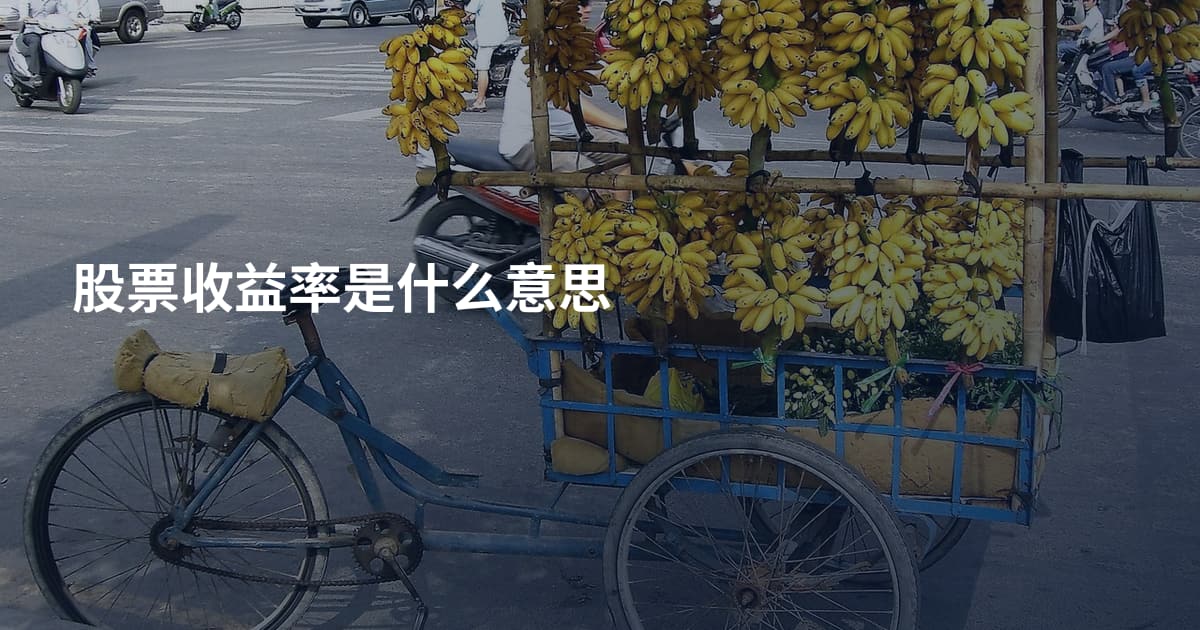 股票收益率是什么意思