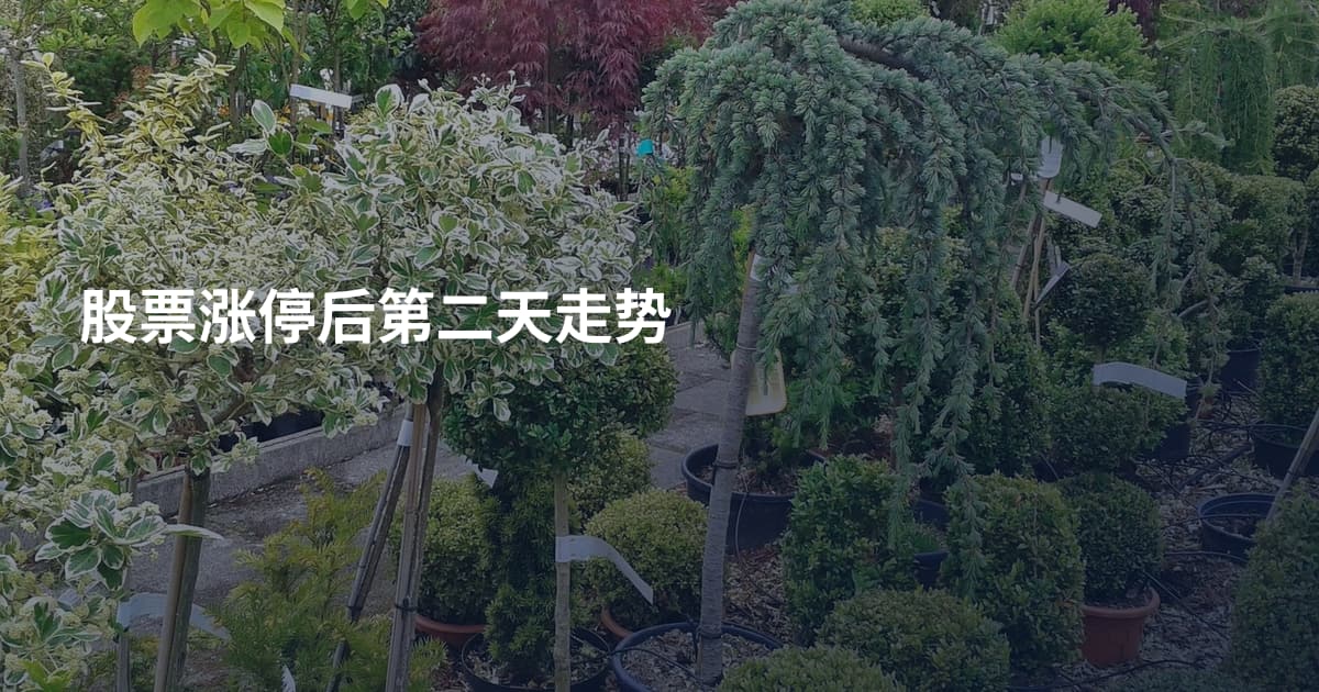 股票涨停后第二天走势