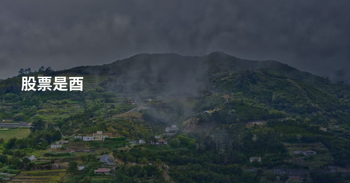 股票是酉