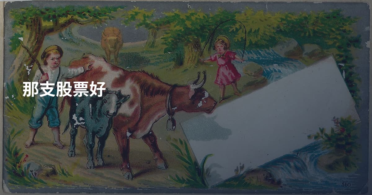 那支股票好