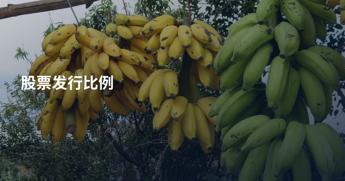 股票发行比例