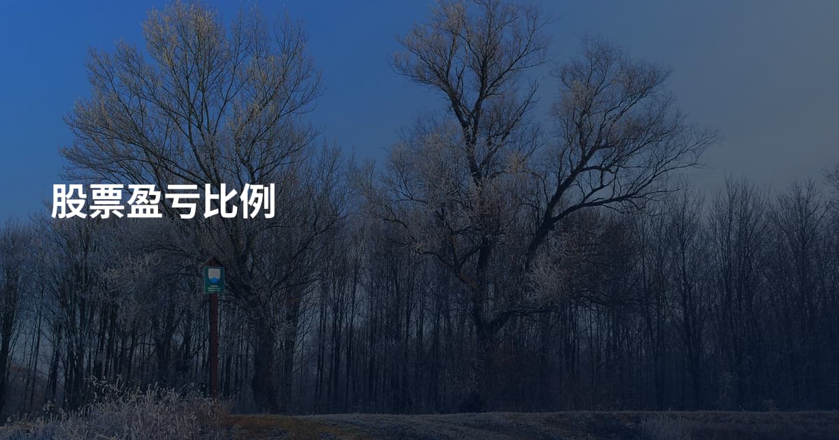 股票盈亏比例