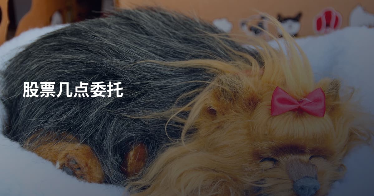 股票几点委托