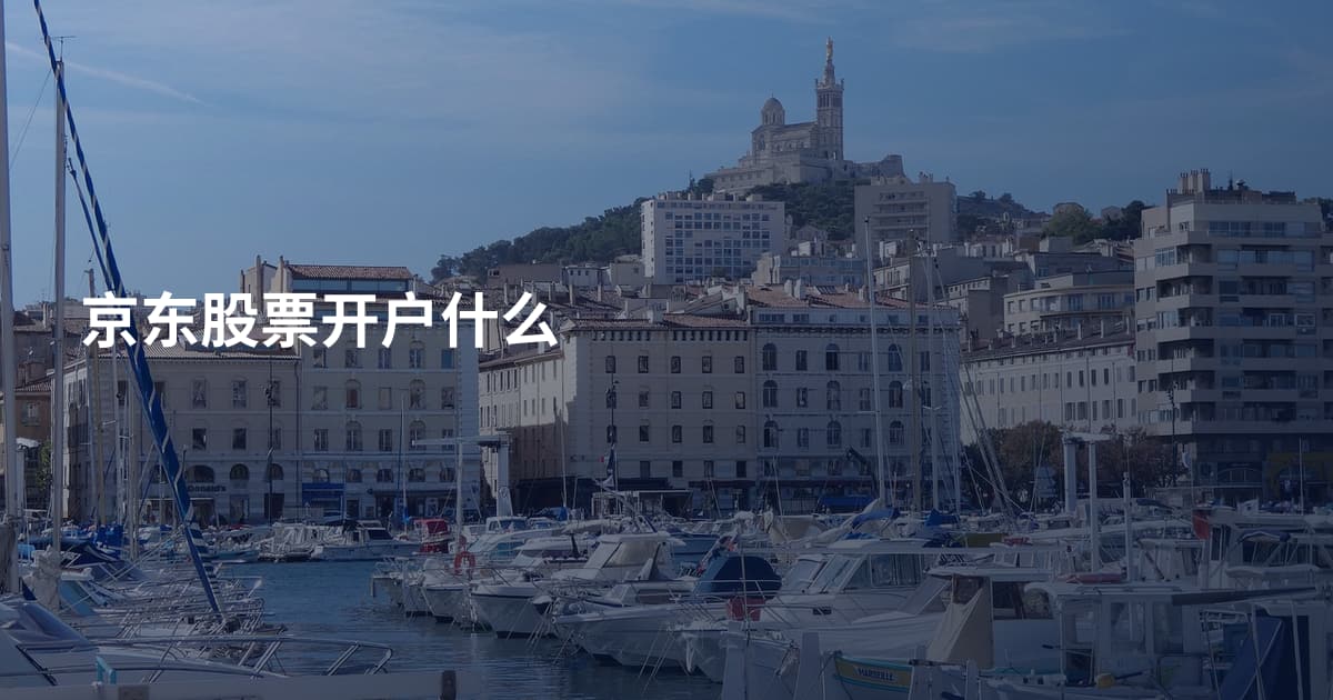 京东股票开户什么