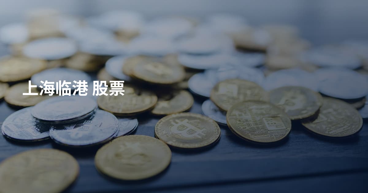 上海临港 股票