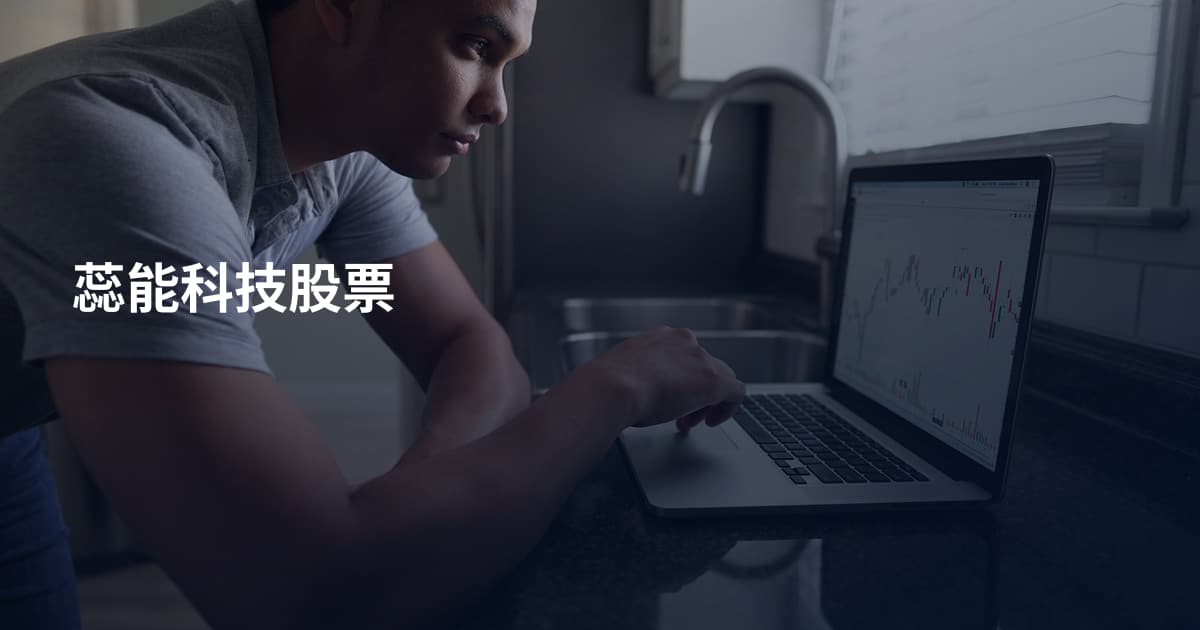 蕊能科技股票