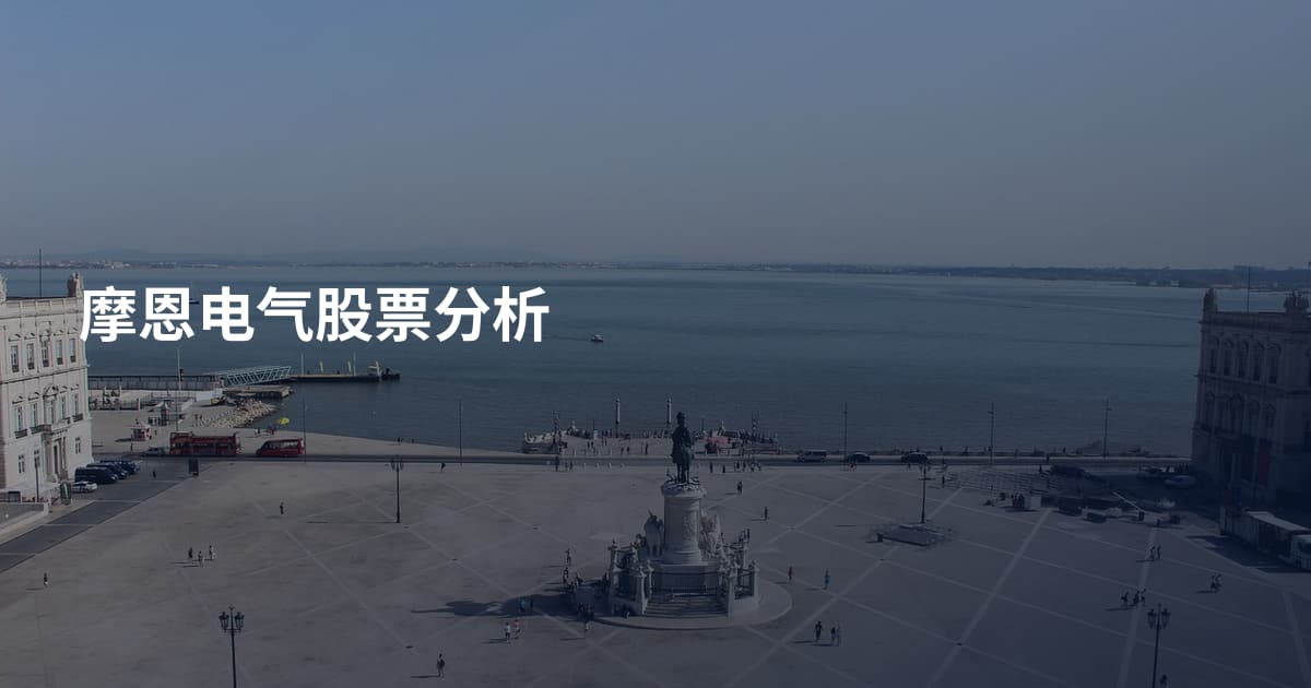 摩恩电气股票分析