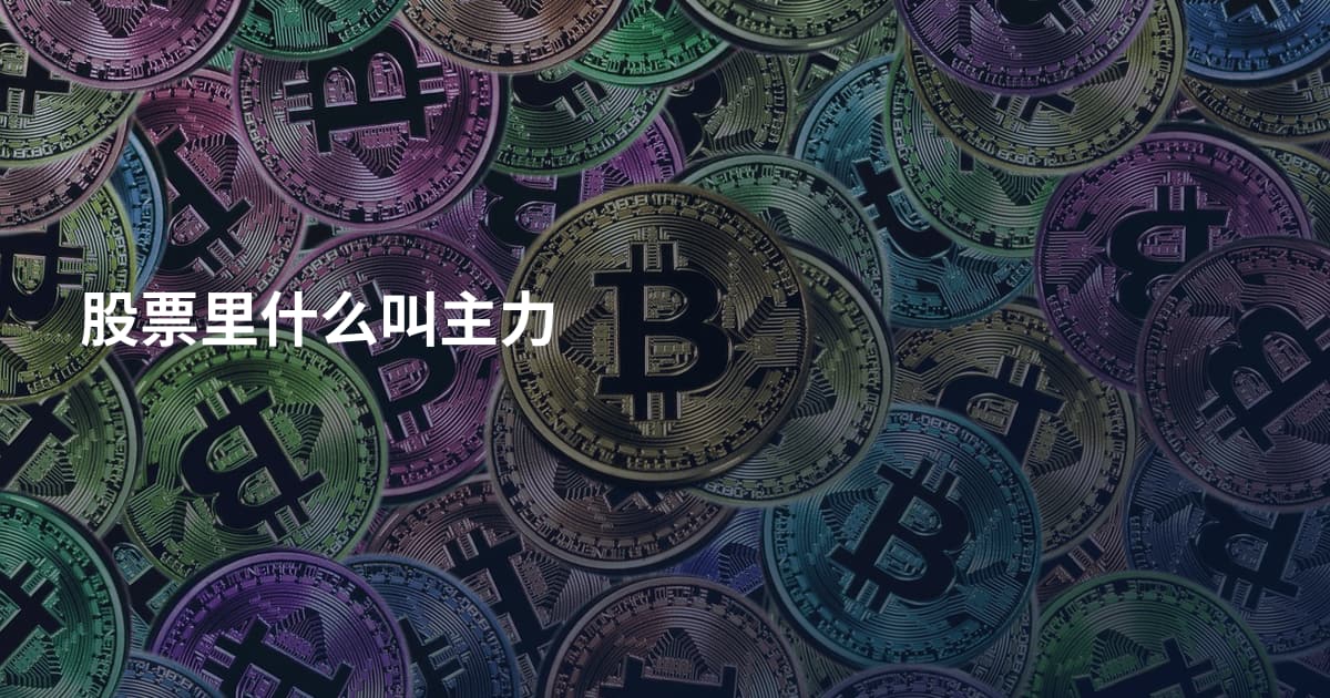 股票里什么叫主力