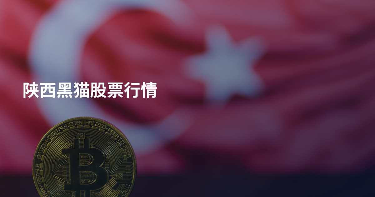 陕西黑猫股票行情