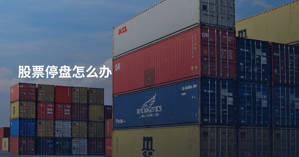 股票停盘怎么办