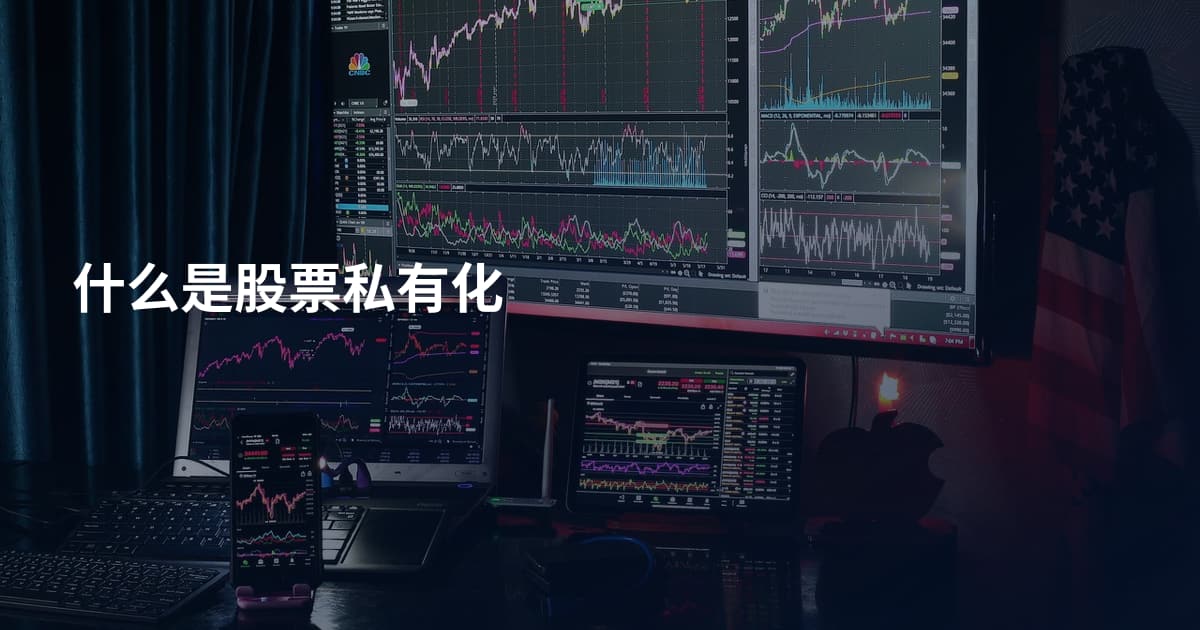 什么是股票私有化