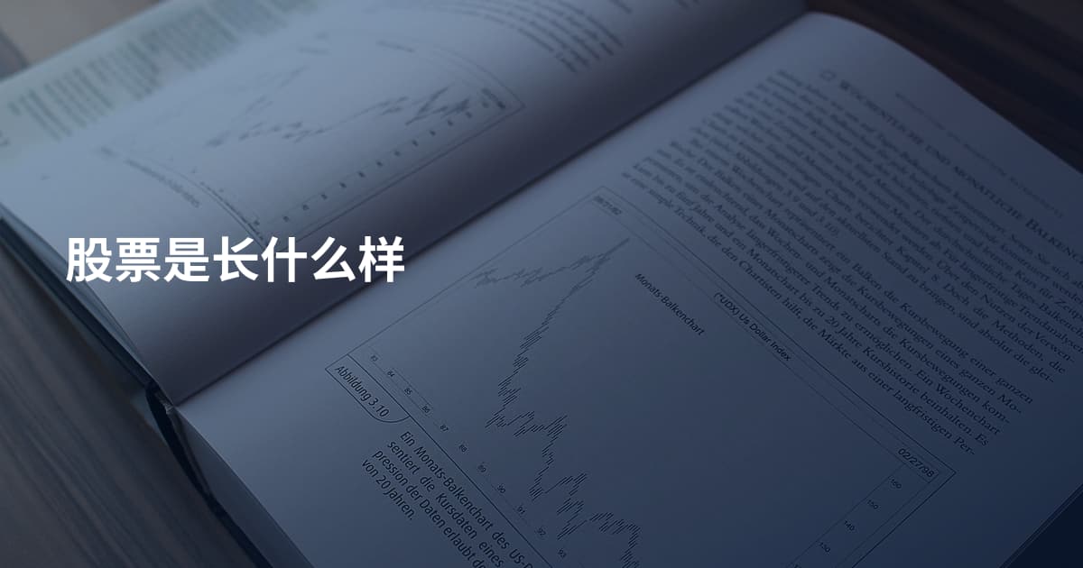 股票是长什么样