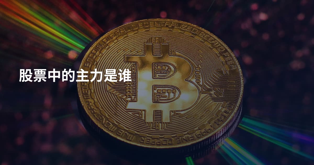 股票中的主力是谁