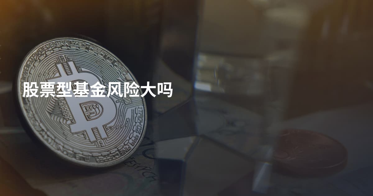 股票型基金风险大吗
