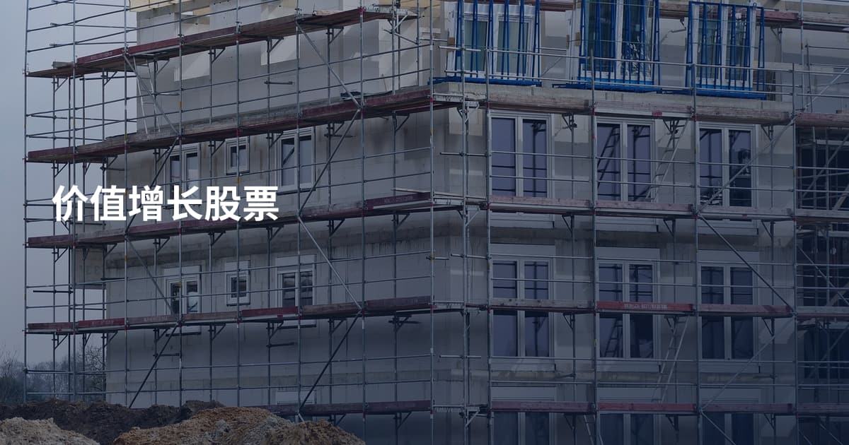 价值增长股票