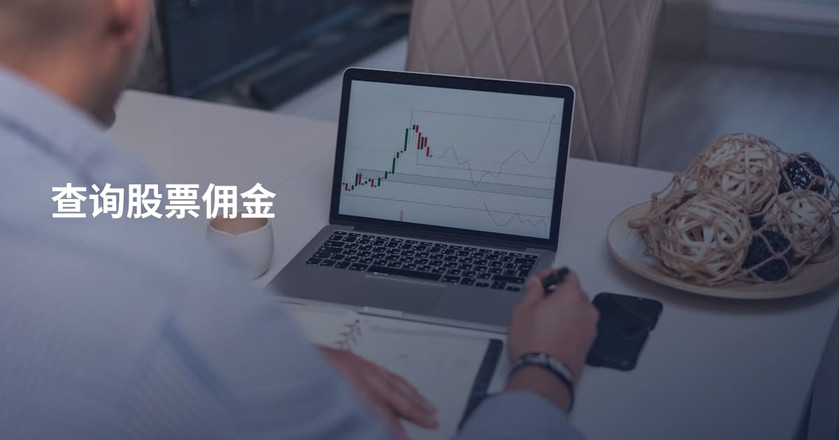 查询股票佣金