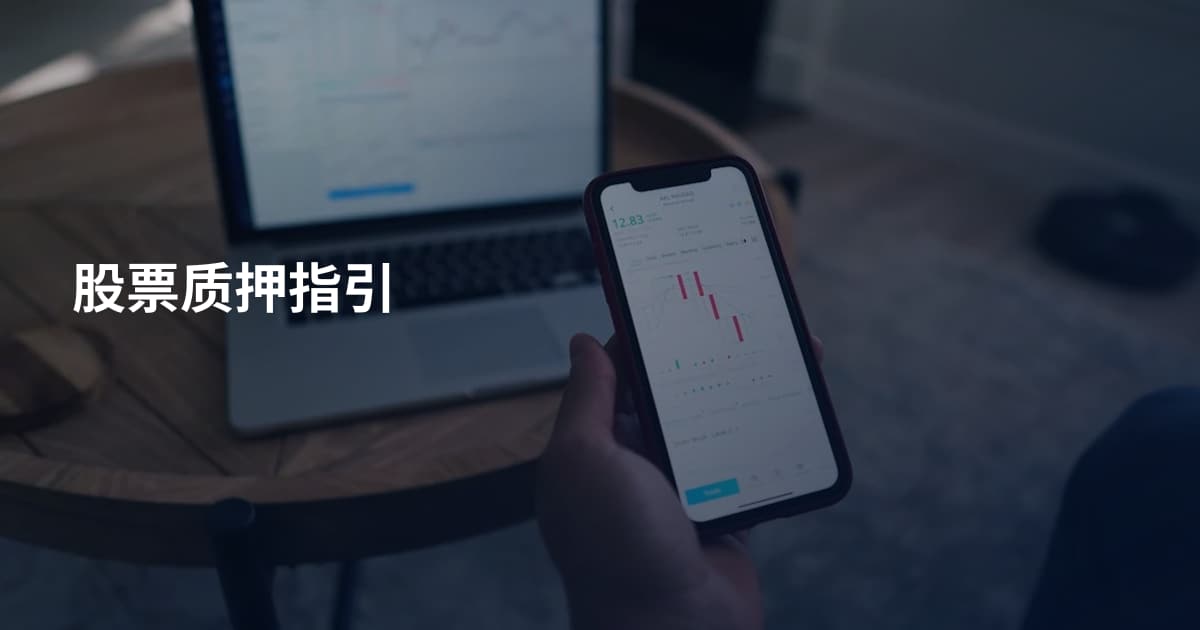 股票质押指引