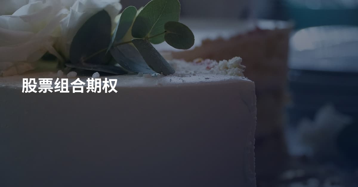股票组合期权