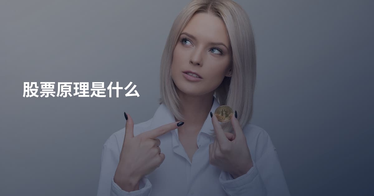 股票原理是什么