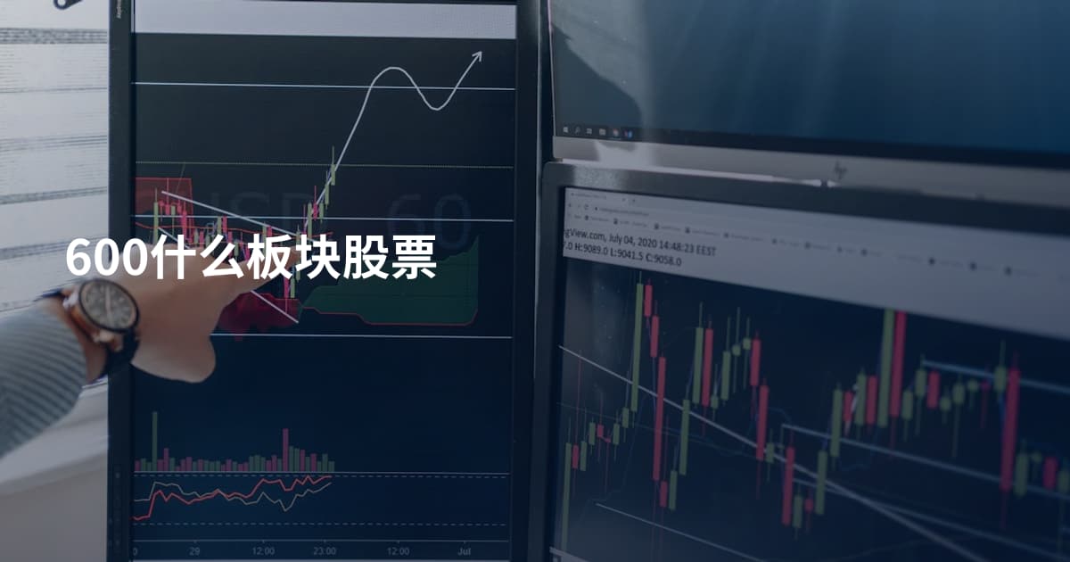 600什么板块股票