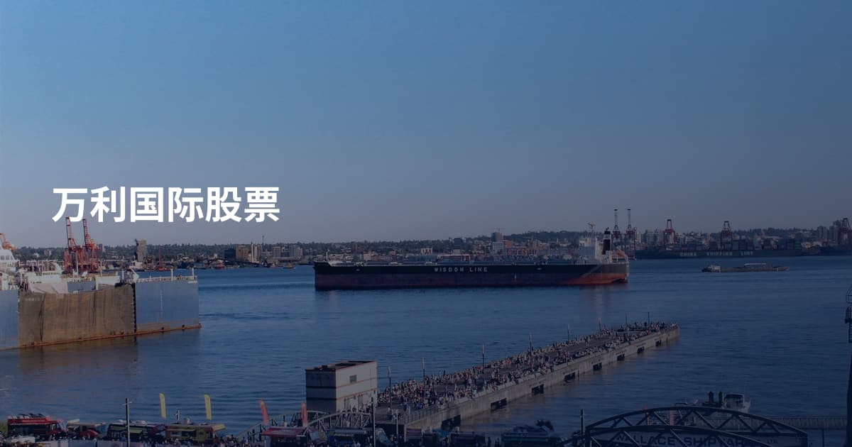 万利国际股票