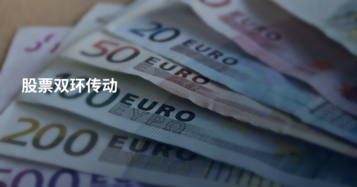 股票双环传动