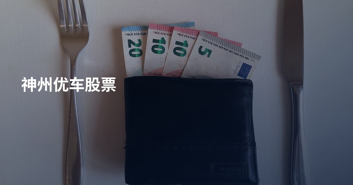 神州优车股票