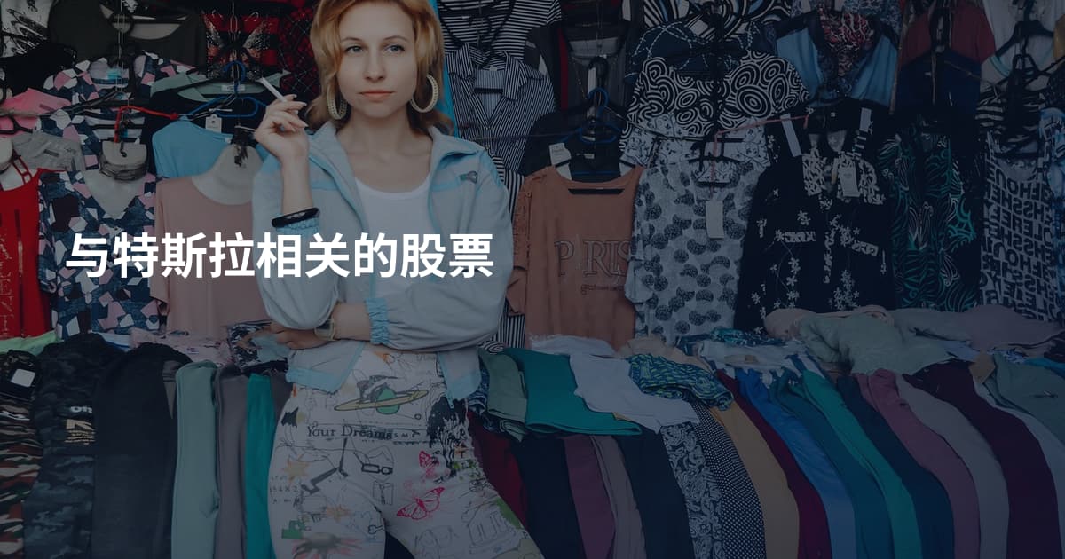 与特斯拉相关的股票