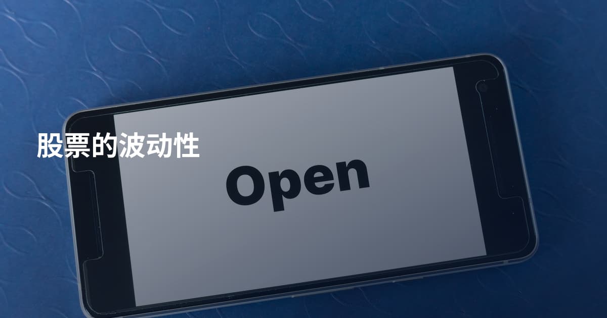 股票的波动性