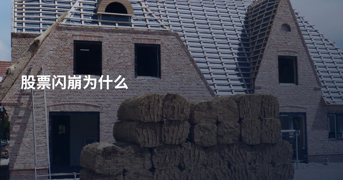股票闪崩为什么