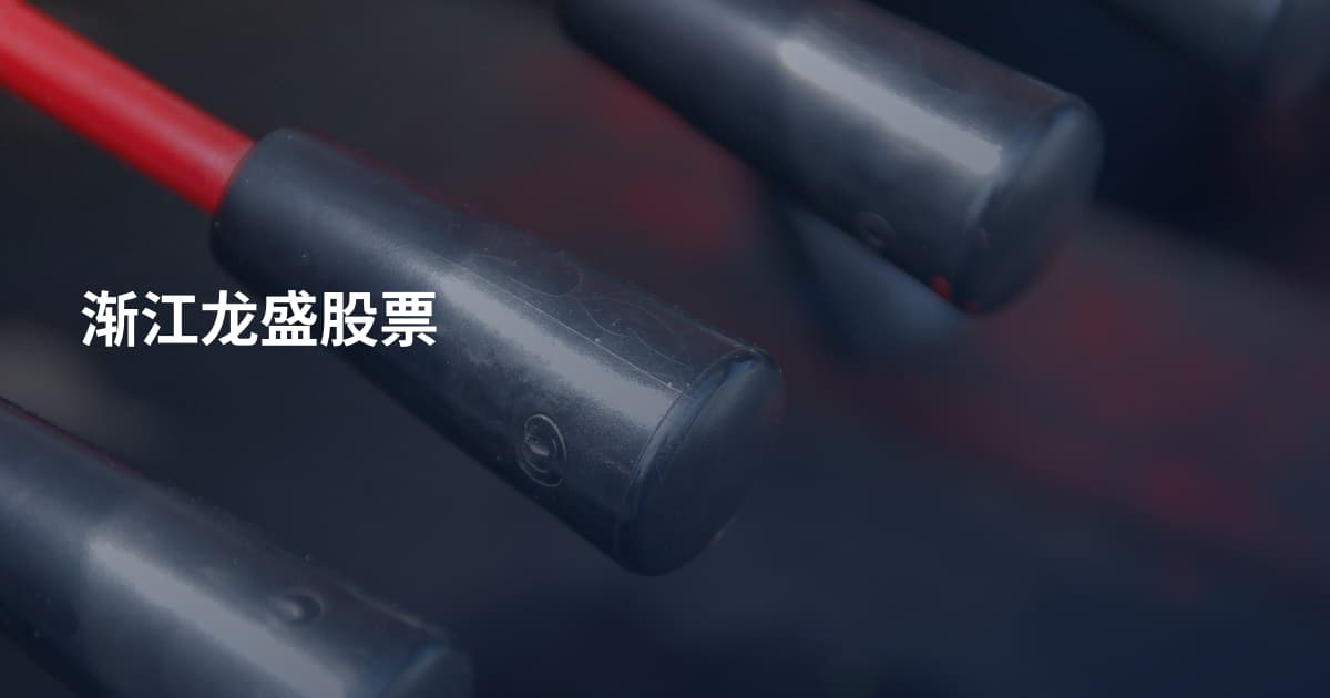 渐江龙盛股票