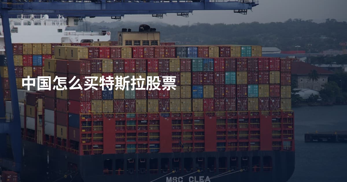 中国怎么买特斯拉股票