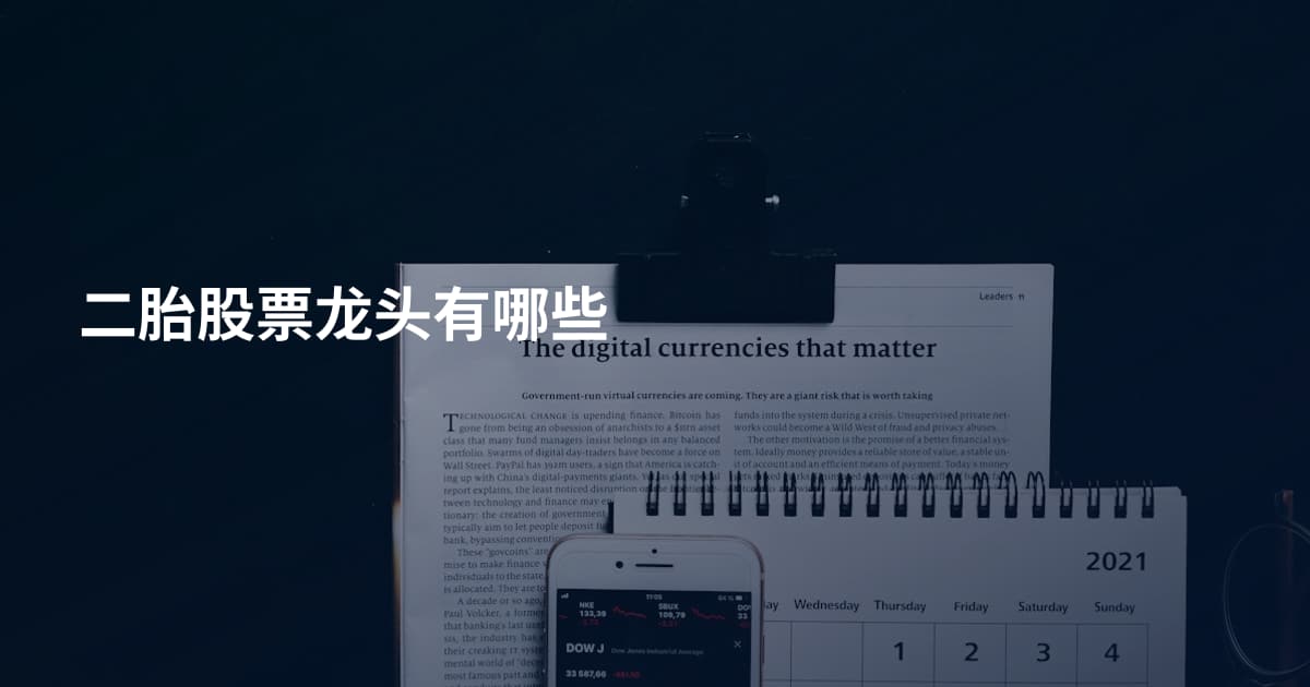 二胎股票龙头有哪些