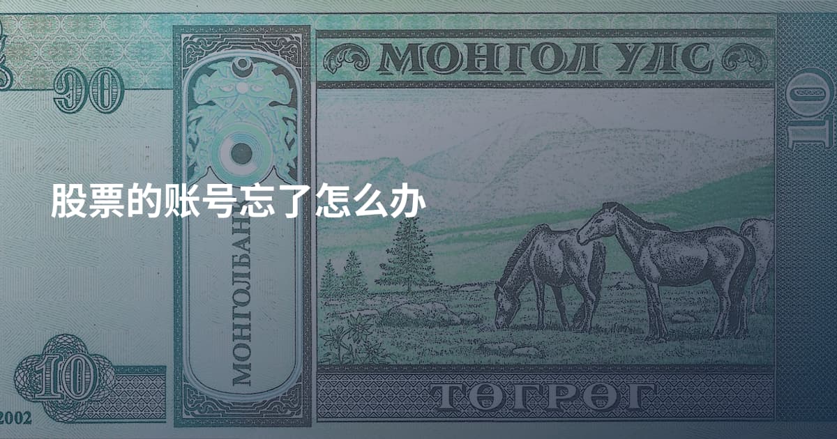 股票的账号忘了怎么办