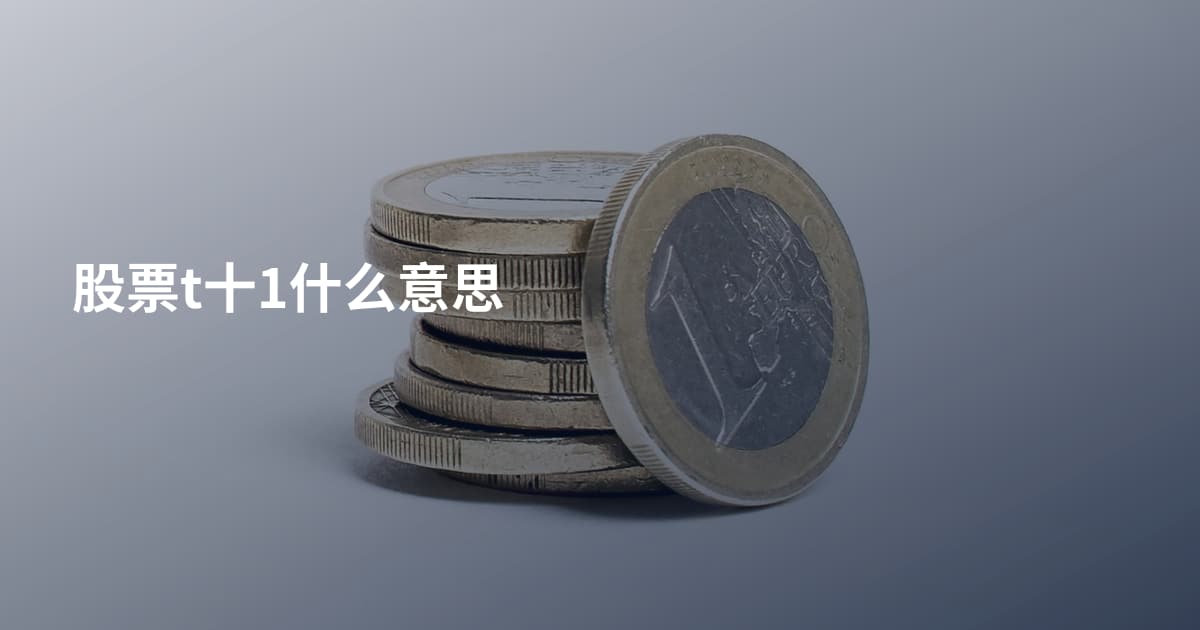 股票t十1什么意思