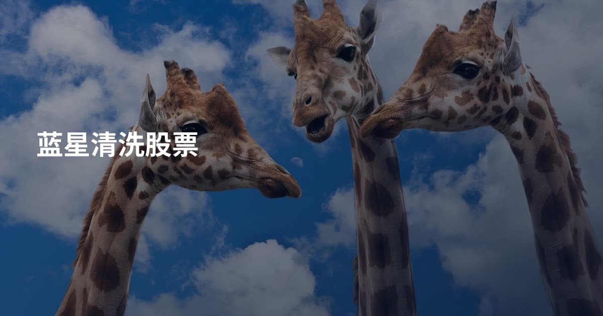 蓝星清洗股票