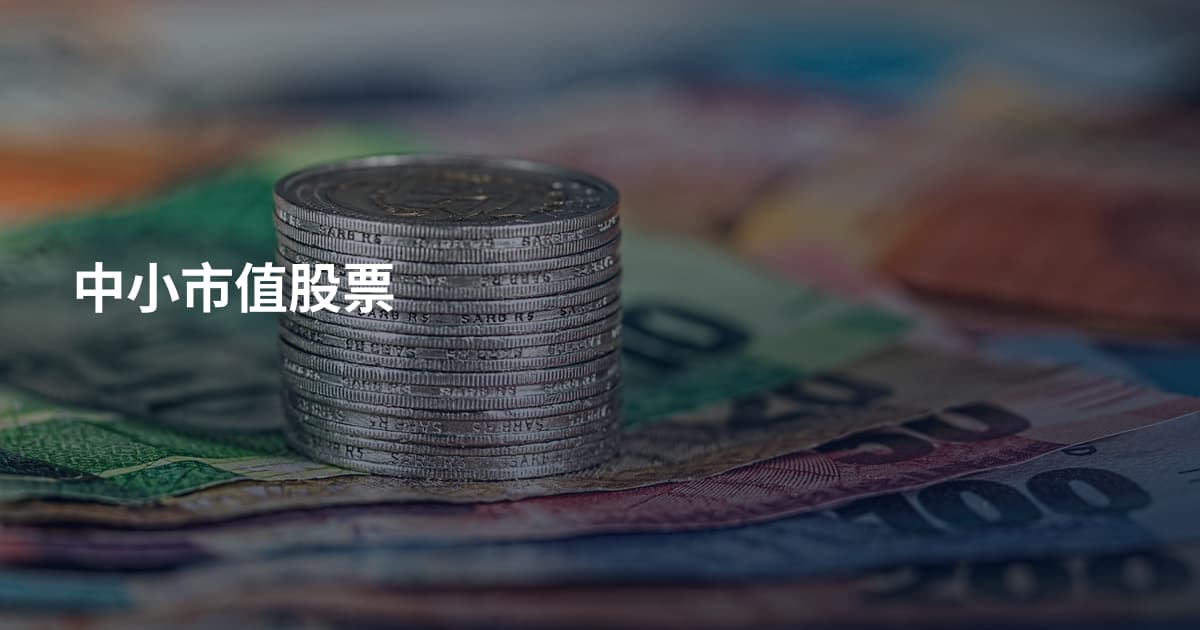 中小市值股票