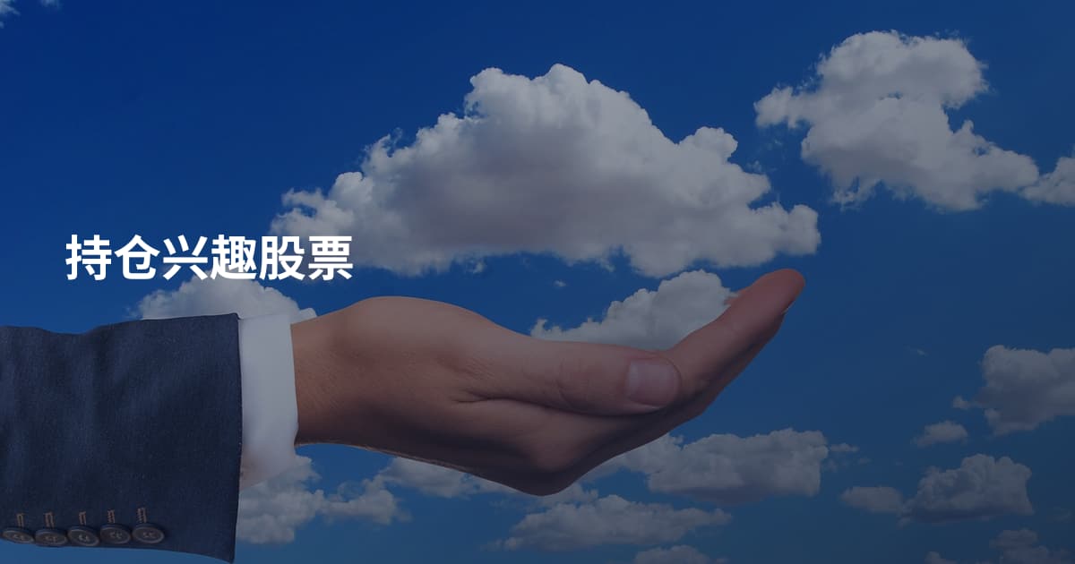持仓兴趣股票