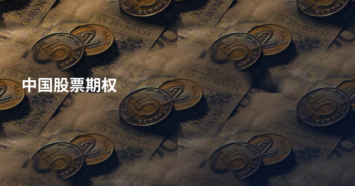 中国股票期权
