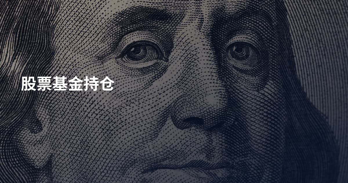 股票基金持仓