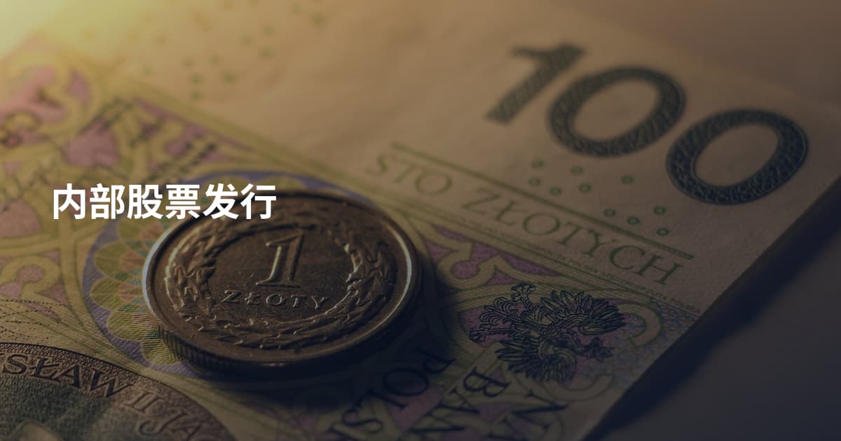 内部股票发行