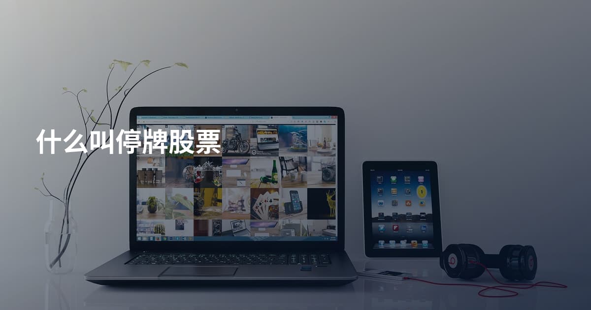 什么叫停牌股票