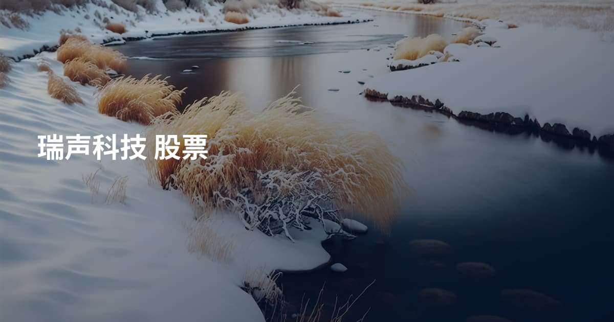 瑞声科技 股票